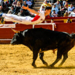 Día del Bou. Valencia, 10 de marzo de 2019