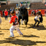 Día del Bou. Valencia, 10 de marzo de 2019