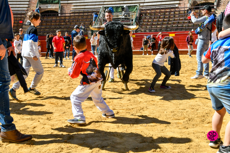 Día del Bou. Valencia, 10 de marzo de 2019