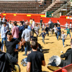 Día del Bou. Valencia, 10 de marzo de 2019