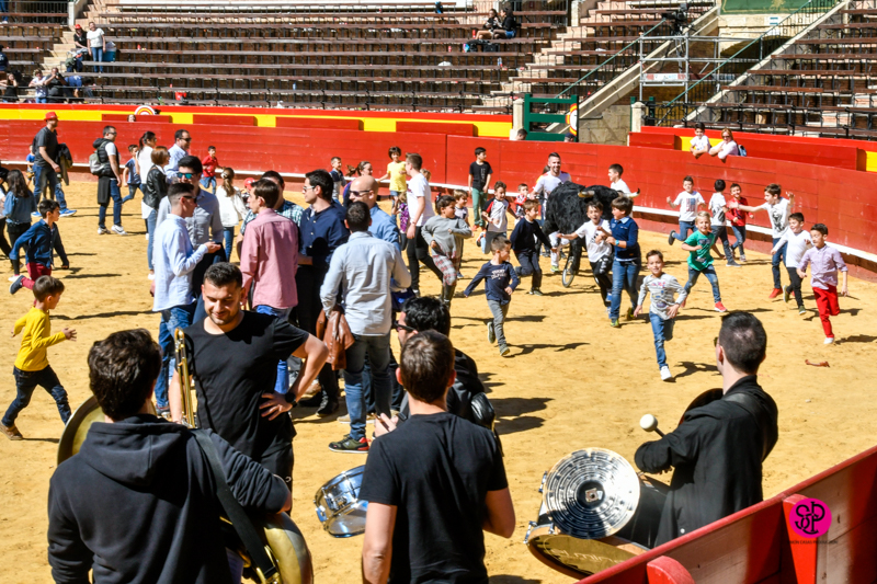 Día del Bou. Valencia, 10 de marzo de 2019
