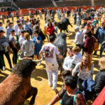 Día del Bou. Valencia, 10 de marzo de 2019