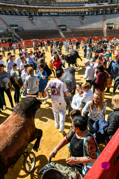 Día del Bou. Valencia, 10 de marzo de 2019