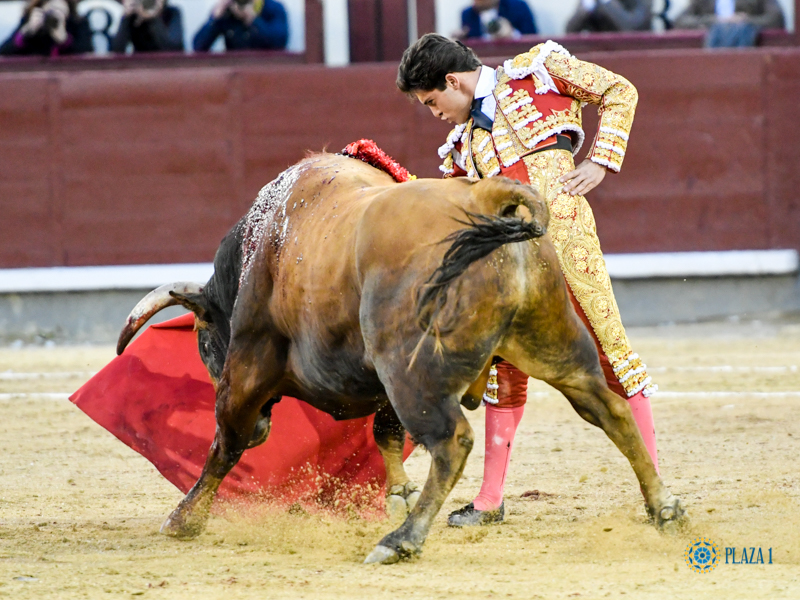 Madrid, domingo 24 de marzo de 2019