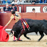 Madrid, domingo 24 de marzo de 2019