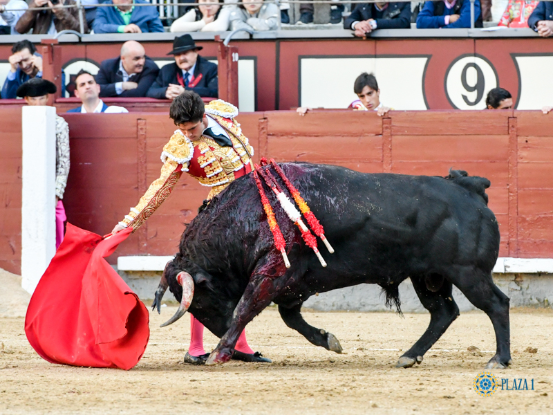 Madrid, domingo 24 de marzo de 2019
