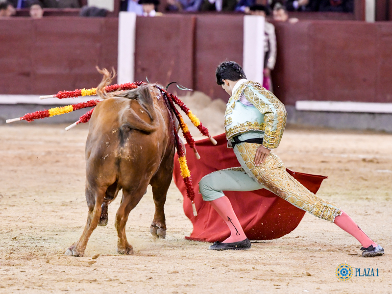 Madrid, domingo 24 de marzo de 2019