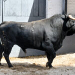 Sorteo, Madrid 24 de marzo de 2019