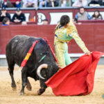 Madrid, domingo 24 de marzo de 2019