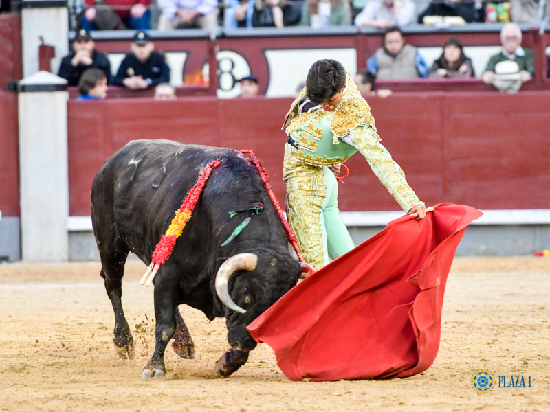 Madrid, domingo 24 de marzo de 2019