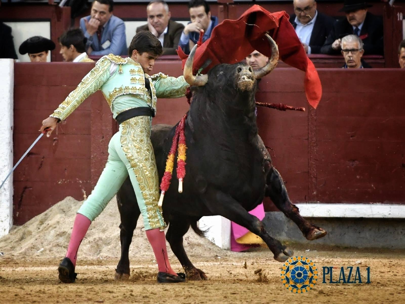 Madrid, domingo 24 de marzo de 2019