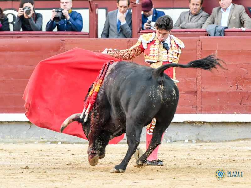 Madrid, domingo 24 de marzo de 2019