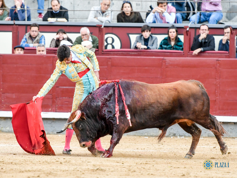Madrid, domingo 24 de marzo de 2019