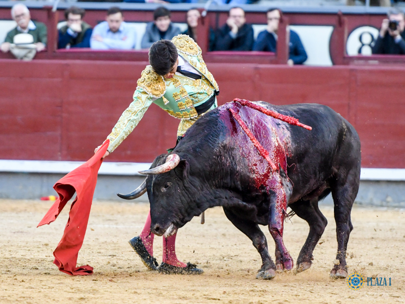Madrid, domingo 24 de marzo de 2019
