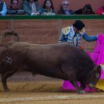Arnedo, sábado 23 de marzo de 2019