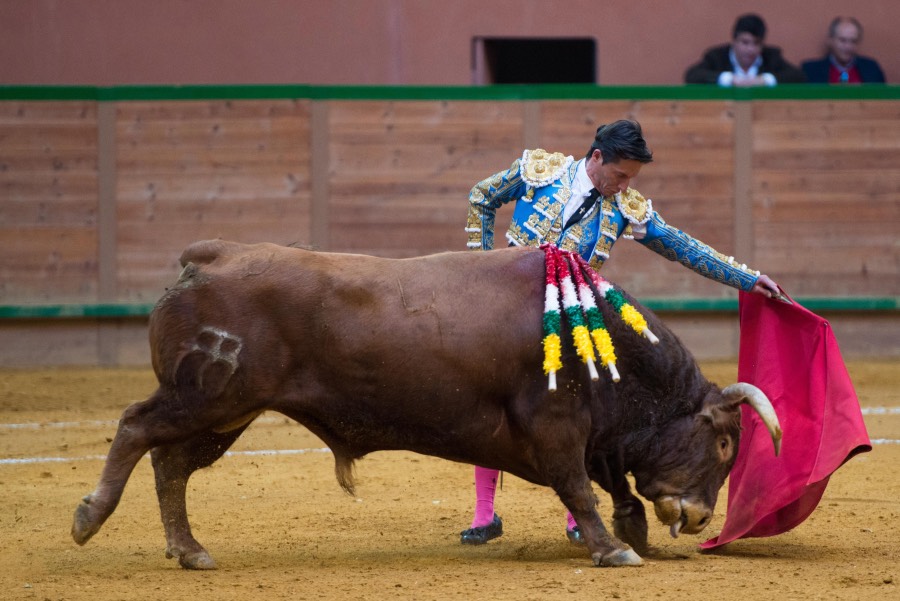 Arnedo, sábado 23 de marzo de 2019