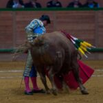 Arnedo, sábado 23 de marzo de 2019