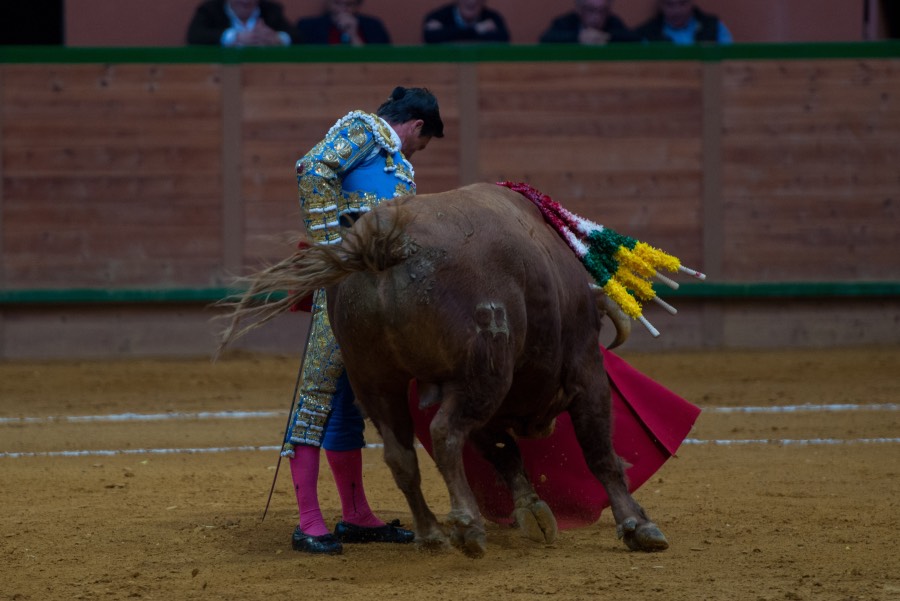 Arnedo, sábado 23 de marzo de 2019