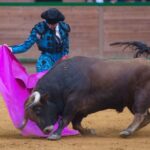 Arnedo, sábado 23 de marzo de 2019