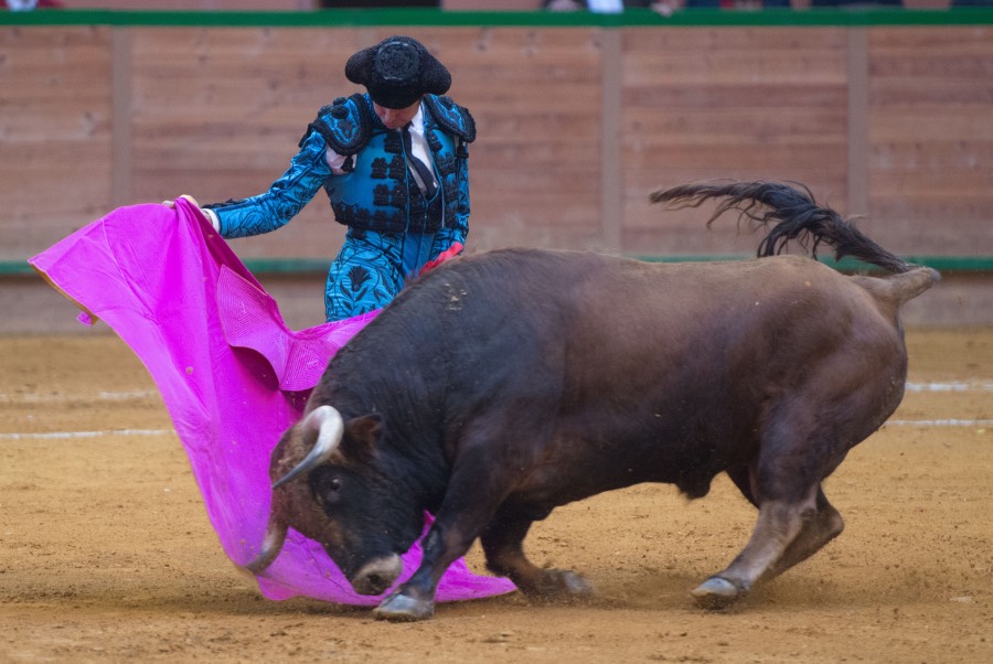 Arnedo, sábado 23 de marzo de 2019
