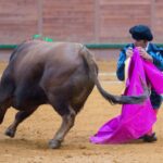 Arnedo, sábado 23 de marzo de 2019