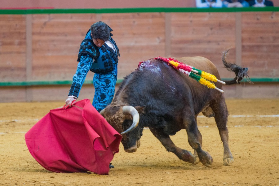 Arnedo, sábado 23 de marzo de 2019