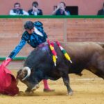 Arnedo, sábado 23 de marzo de 2019