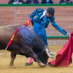 Arnedo, sábado 23 de marzo de 2019
