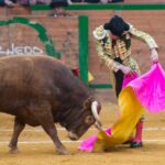 Arnedo, sábado 23 de marzo de 2019