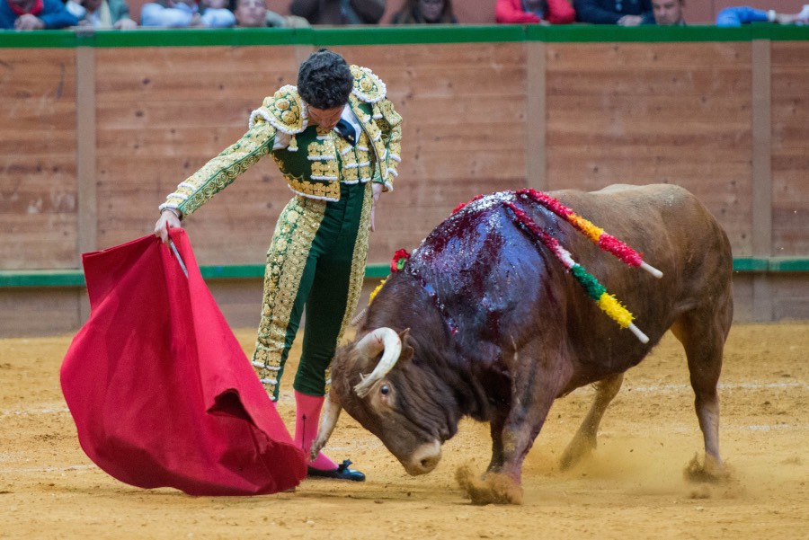 Arnedo, sábado 23 de marzo de 2019