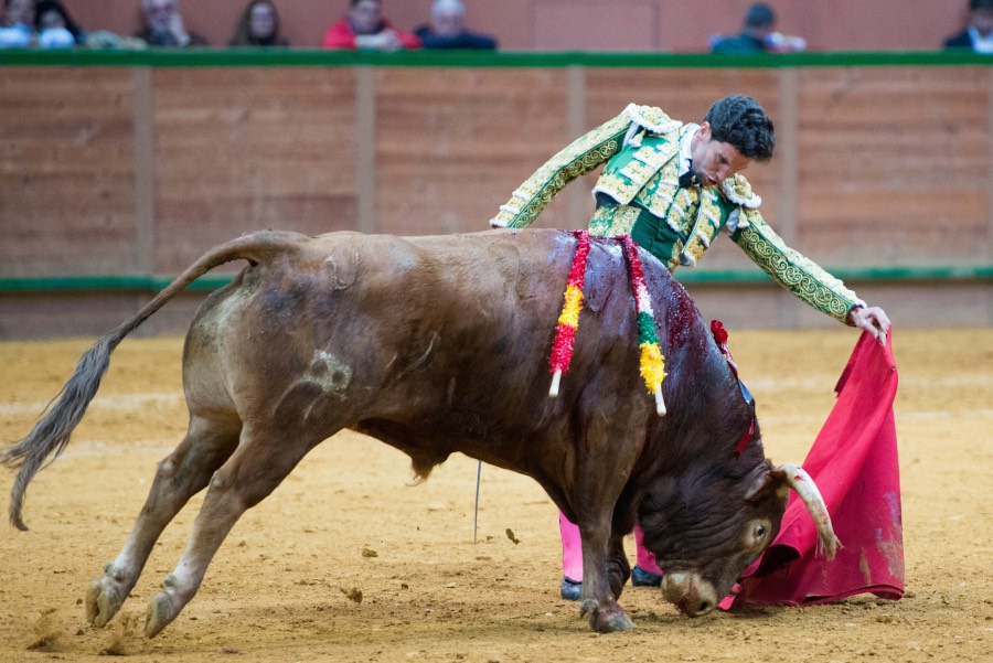 Arnedo, sábado 23 de marzo de 2019