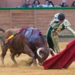 Arnedo, sábado 23 de marzo de 2019