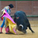 Arnedo, sábado 23 de marzo de 2019