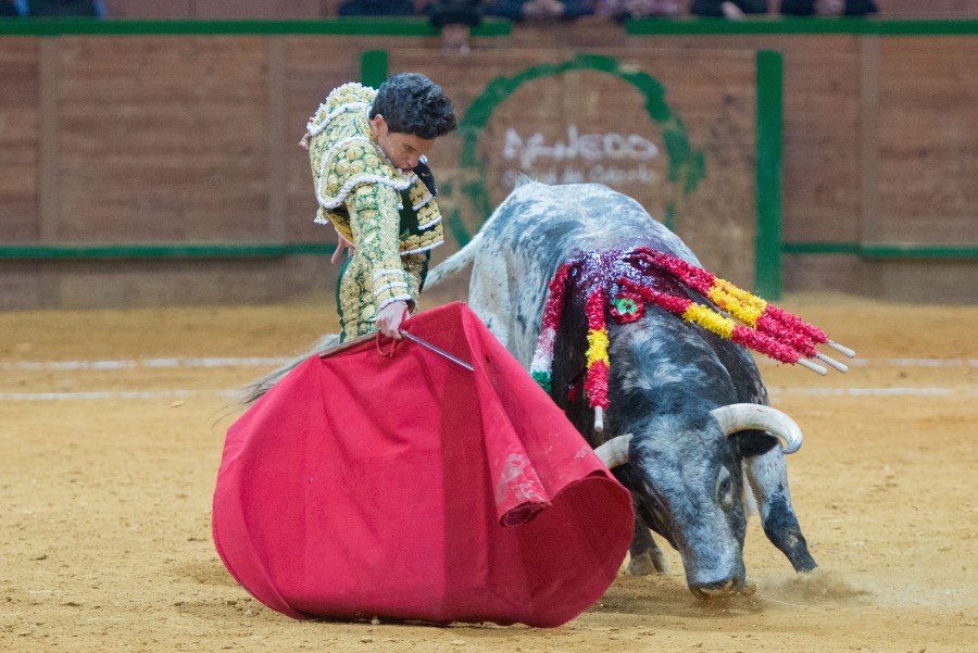 Arnedo, sábado 23 de marzo de 2019