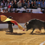 Pegalajar (Jaén), domingo 10 de marzo de 2019. Festival