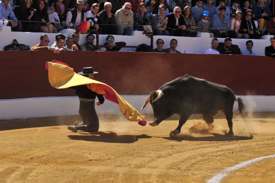 Pegalajar (Jaén), domingo 10 de marzo de 2019. Festival