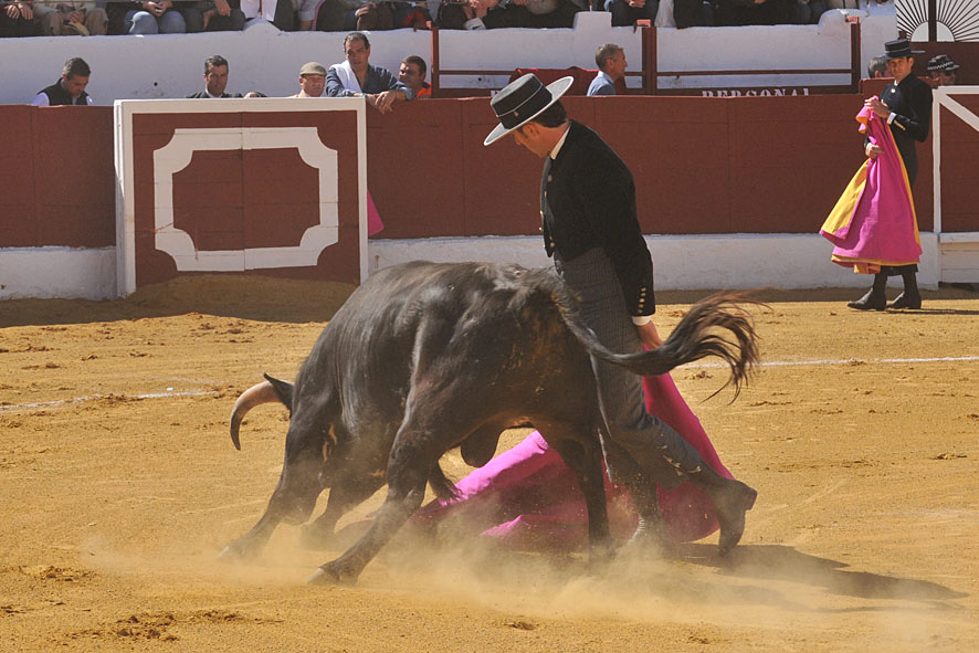 Pegalajar (Jaén), domingo 10 de marzo de 2019. Festival