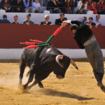 Pegalajar (Jaén), domingo 10 de marzo de 2019. Festival