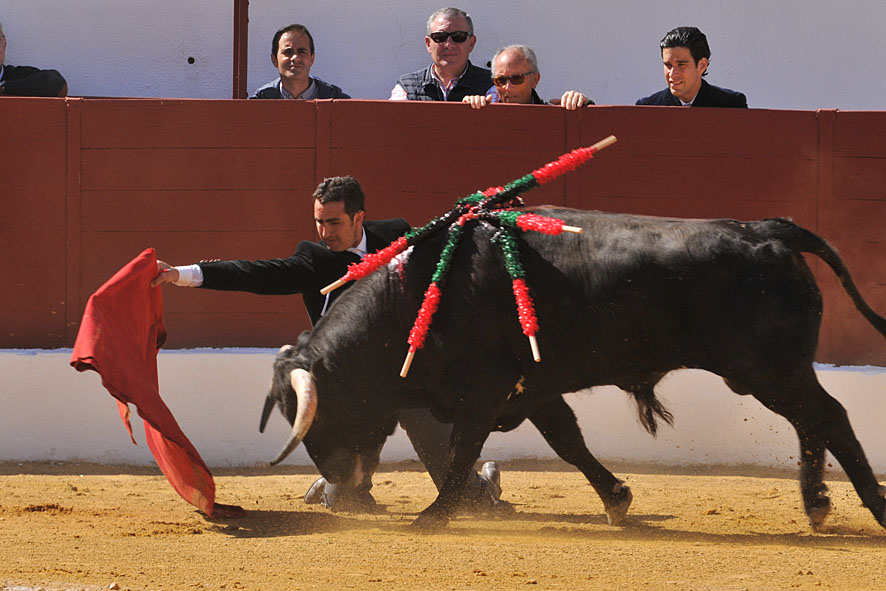 Pegalajar (Jaén), domingo 10 de marzo de 2019. Festival