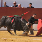 Pegalajar (Jaén), domingo 10 de marzo de 2019. Festival