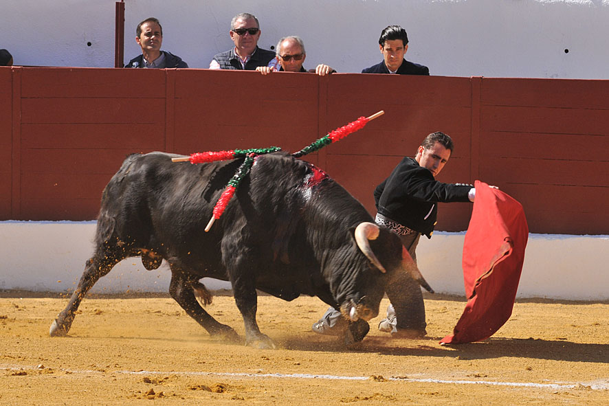 Pegalajar (Jaén), domingo 10 de marzo de 2019. Festival