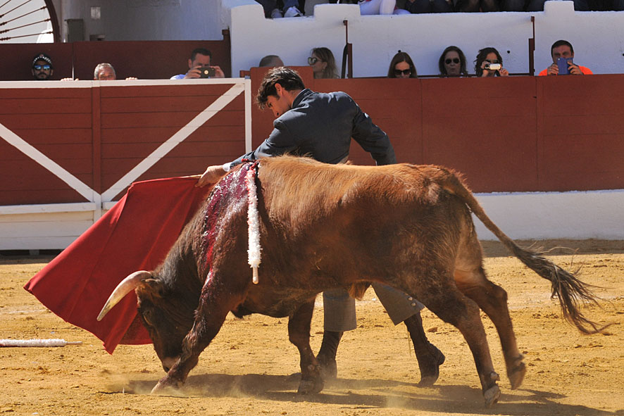Pegalajar (Jaén), domingo 10 de marzo de 2019. Festival