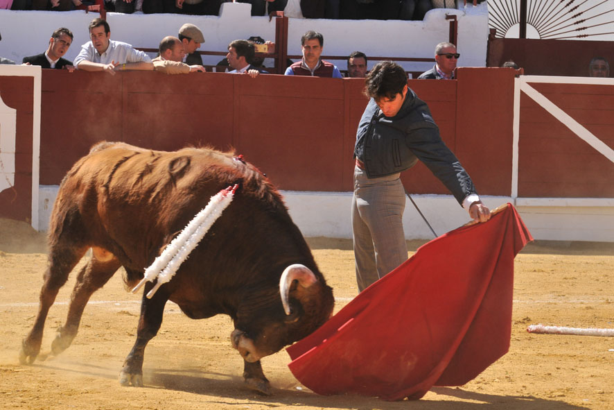 Pegalajar (Jaén), domingo 10 de marzo de 2019. Festival