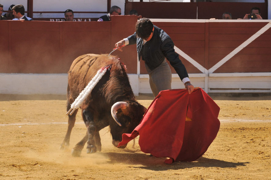 Pegalajar (Jaén), domingo 10 de marzo de 2019. Festival