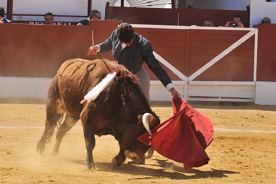 Pegalajar (Jaén), domingo 10 de marzo de 2019. Festival