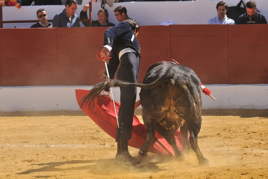 Pegalajar (Jaén), domingo 10 de marzo de 2019. Festival