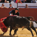 Pegalajar (Jaén), domingo 10 de marzo de 2019. Festival