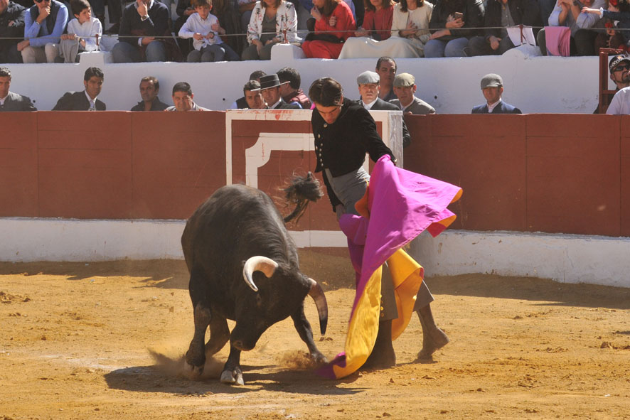 Pegalajar (Jaén), domingo 10 de marzo de 2019. Festival
