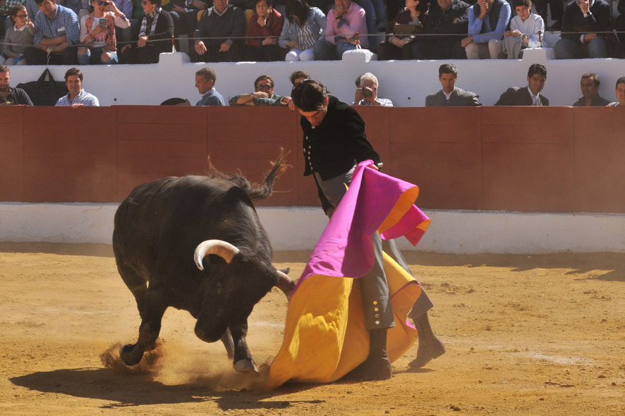 Pegalajar (Jaén), domingo 10 de marzo de 2019. Festival