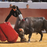 Pegalajar (Jaén), domingo 10 de marzo de 2019. Festival